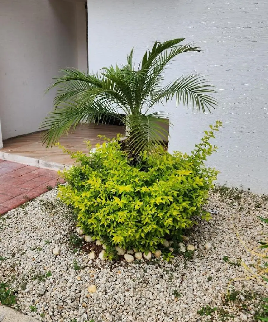 Casa Cancun Apartment